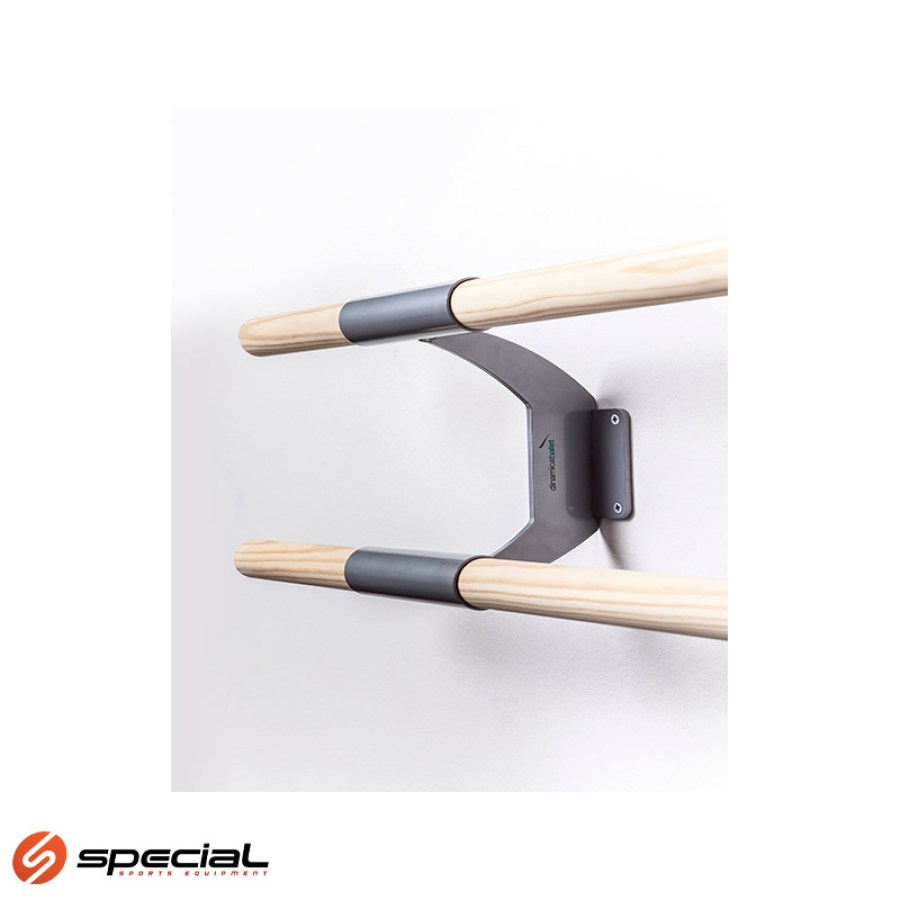 arabesqua-double-silver-logo-1748848485