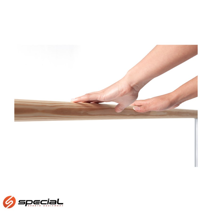 baletne-preČke-logo-1748864526