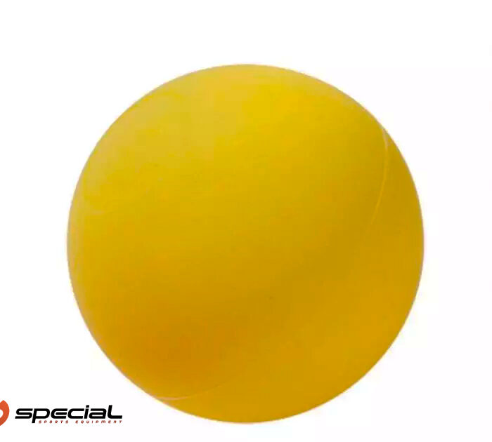 Loptica za hokej